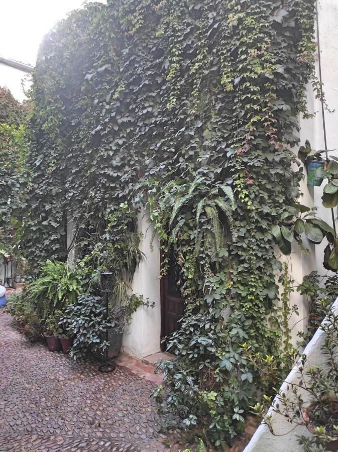 Apartamento Dama De Noche コルドバ エクステリア 写真